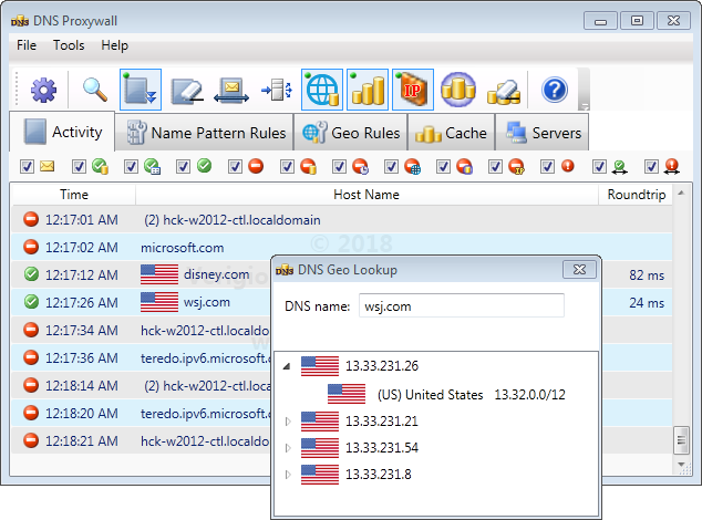 DNS activity log with geographical flags